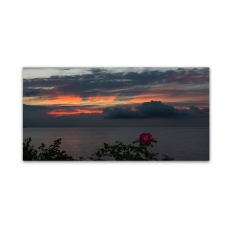 Kurt Shaffer 'Last Of Summer Rose Sunset' Canvas Art,10x19